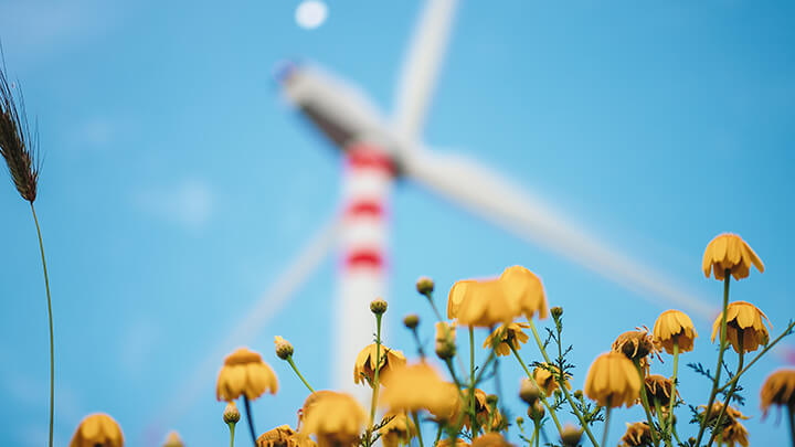A wind turbine with flowers
