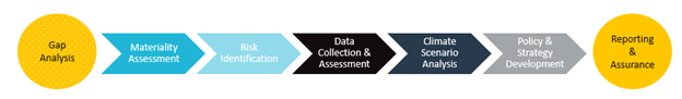 A gap analysis flowchart for reporting and assurance.