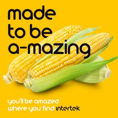 Fresh corncob
