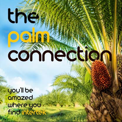 A palm tree in a tropical landscape